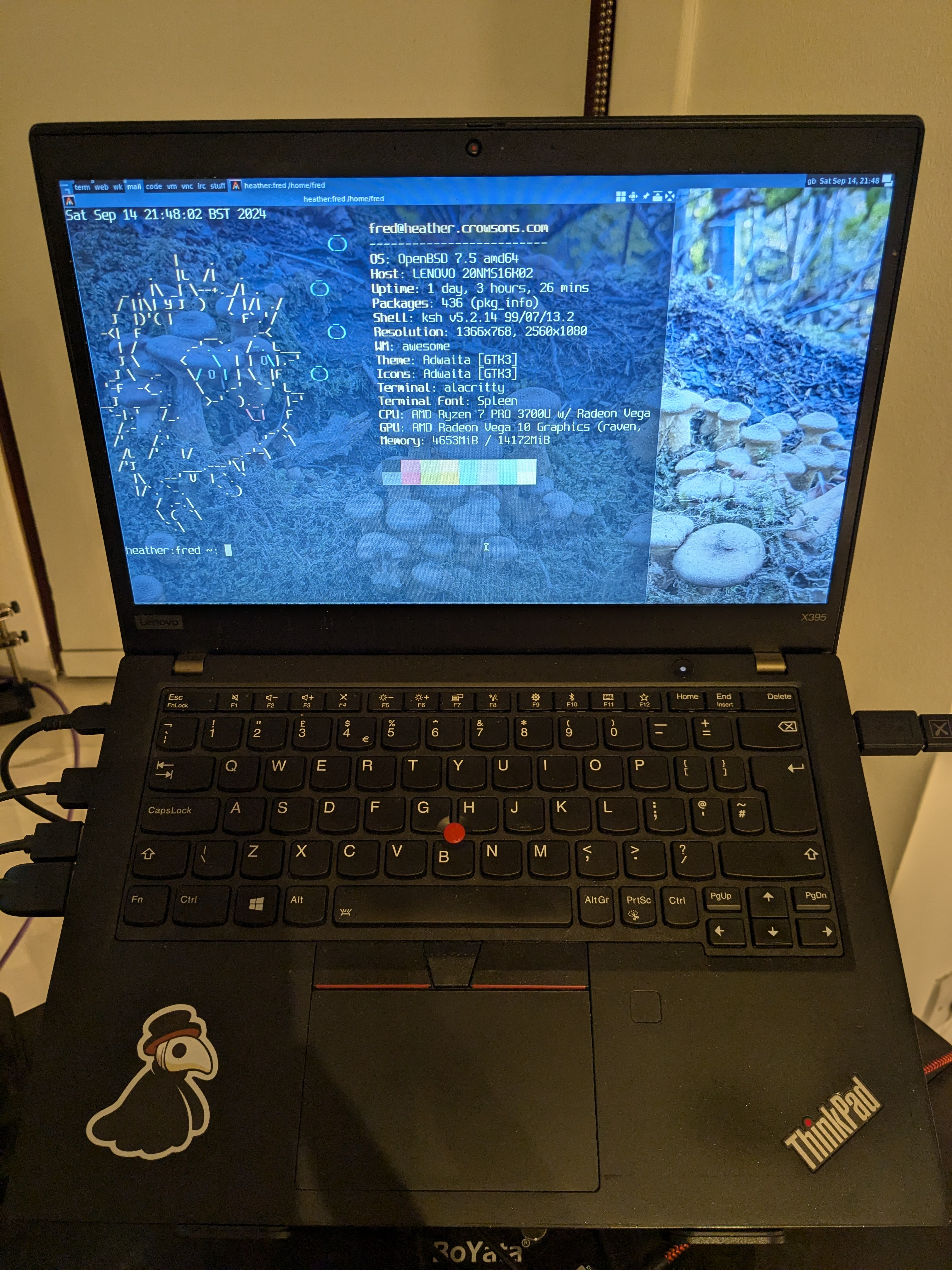 ThinkPad X395