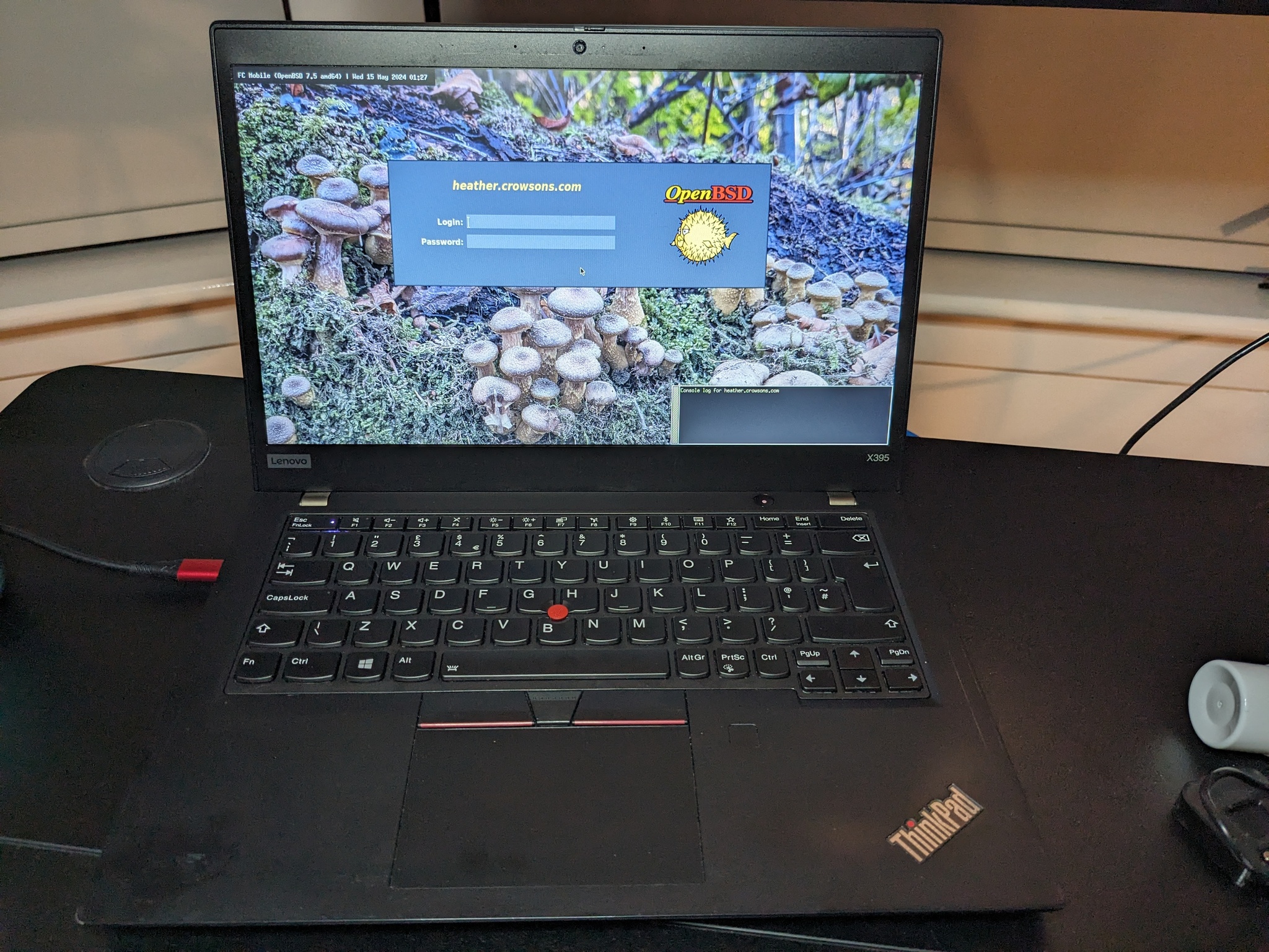 ThinkPad X395