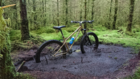 Surly